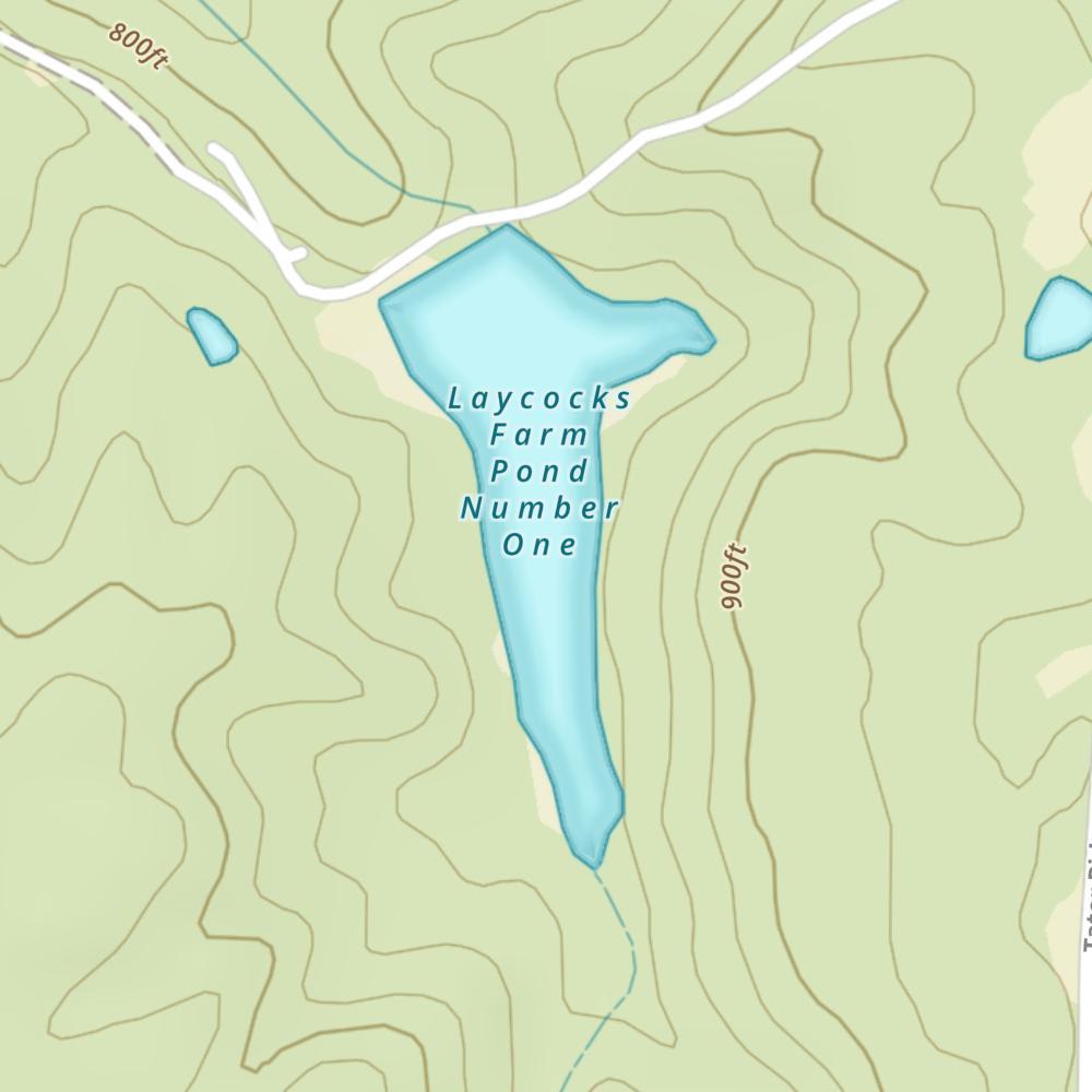 Laycocks Farm Pond Number One