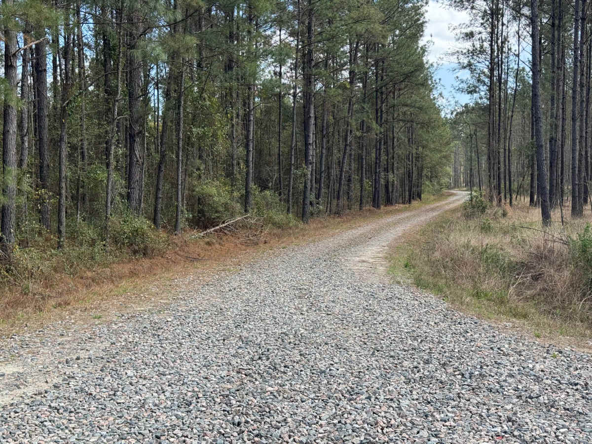 South End Road trail photo