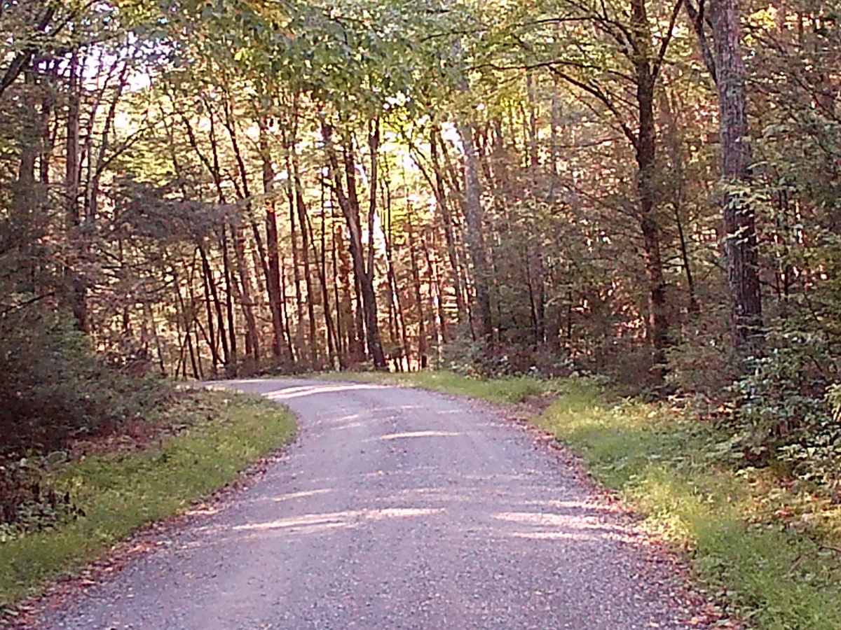 Breininger Gap Road photo 4
