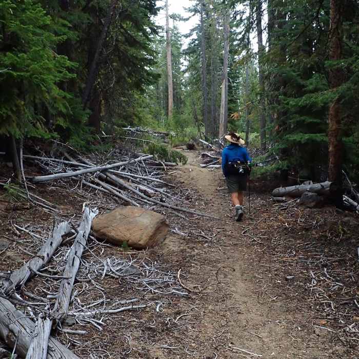 Near Yamsay Mountain Trail #3799