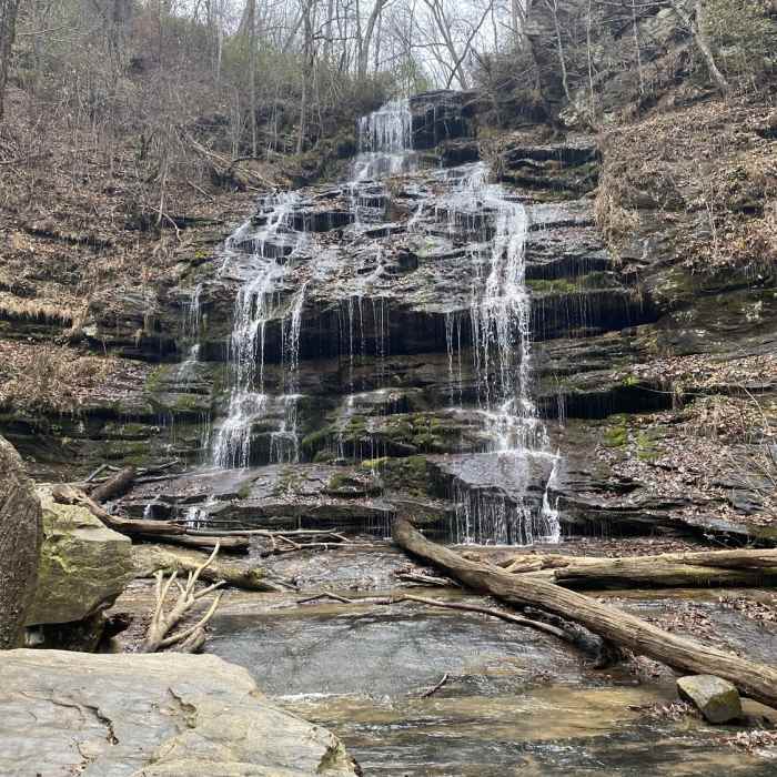 Near The Palmetto Trail: Oconee Passage