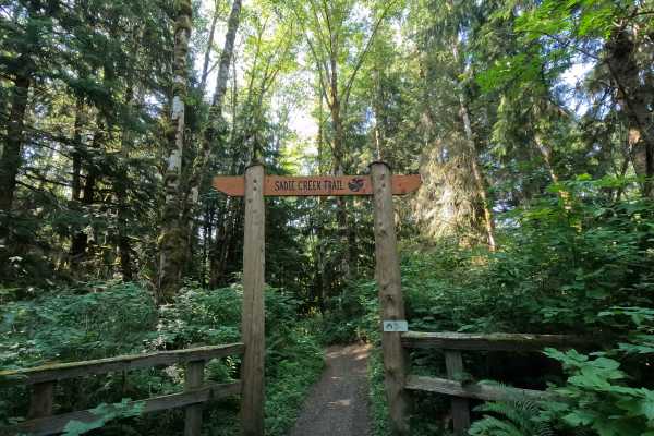 Sadie Creek Trail