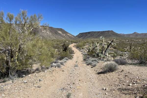 The Base of Malpais Mesa