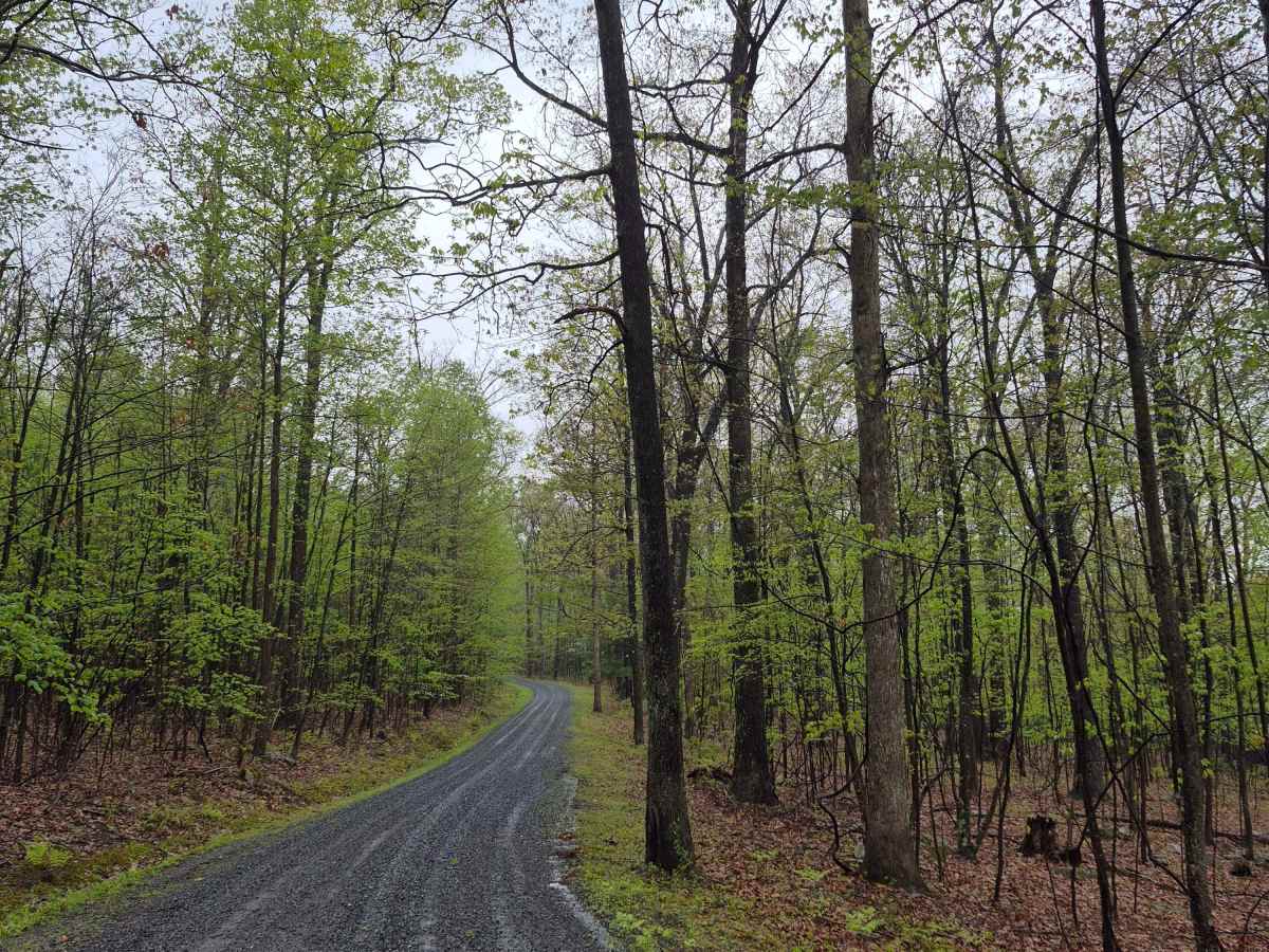 Flat Road photo 3