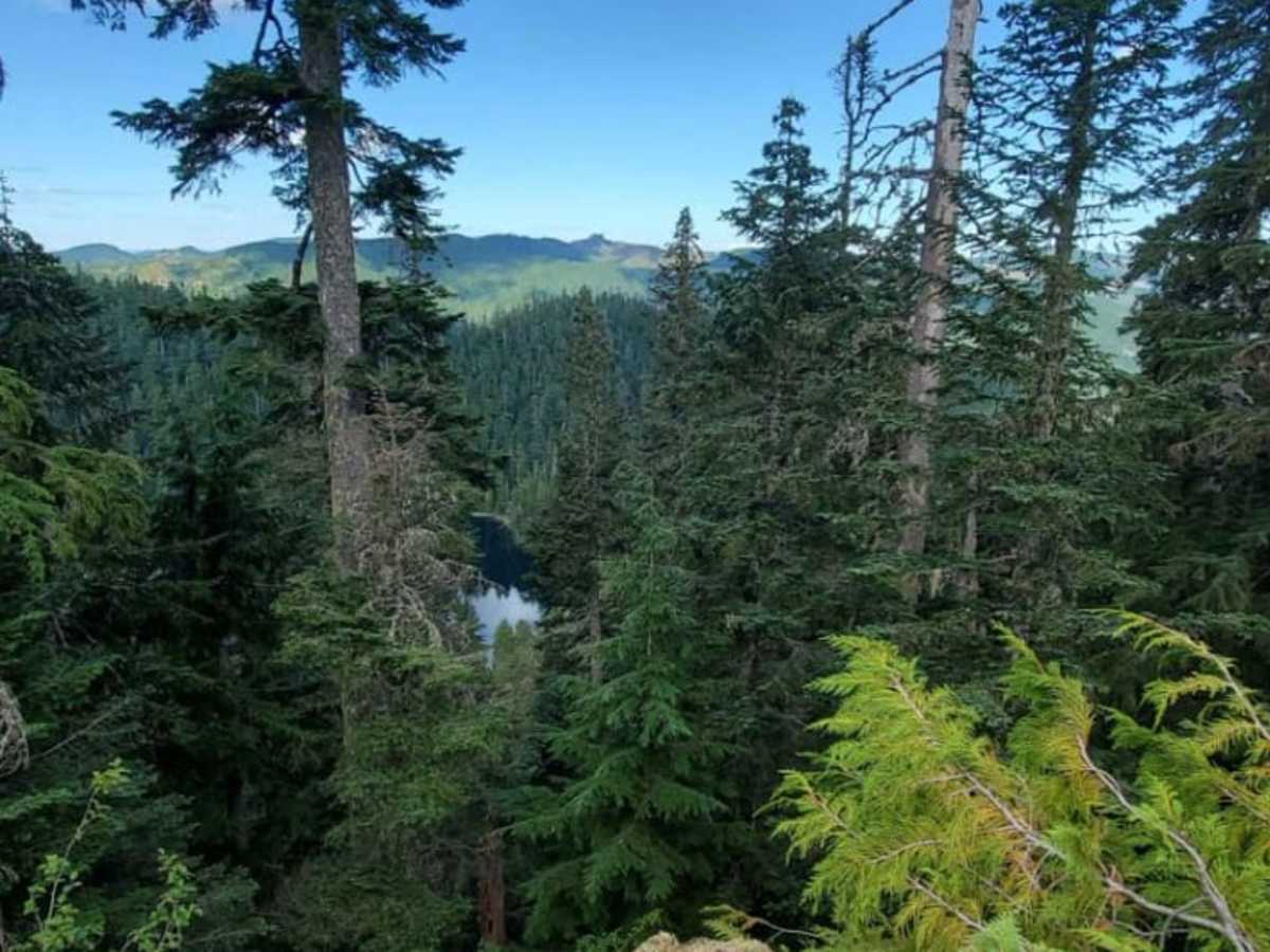 Lake Overlook Camp Out Road trail photo