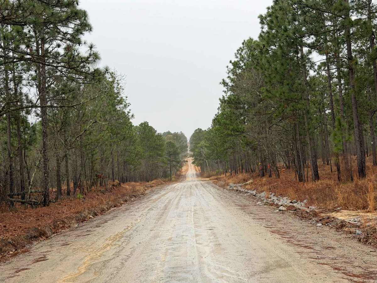 Hoffman Road photo 3