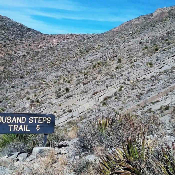 Near Thousand Steps Trail