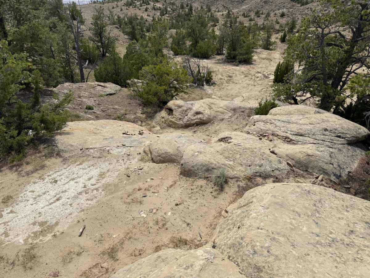 Charlie Trail trail photo