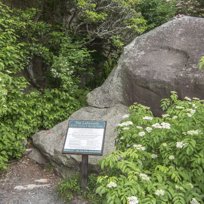 Near Labyrinth + Lemon Squeeze