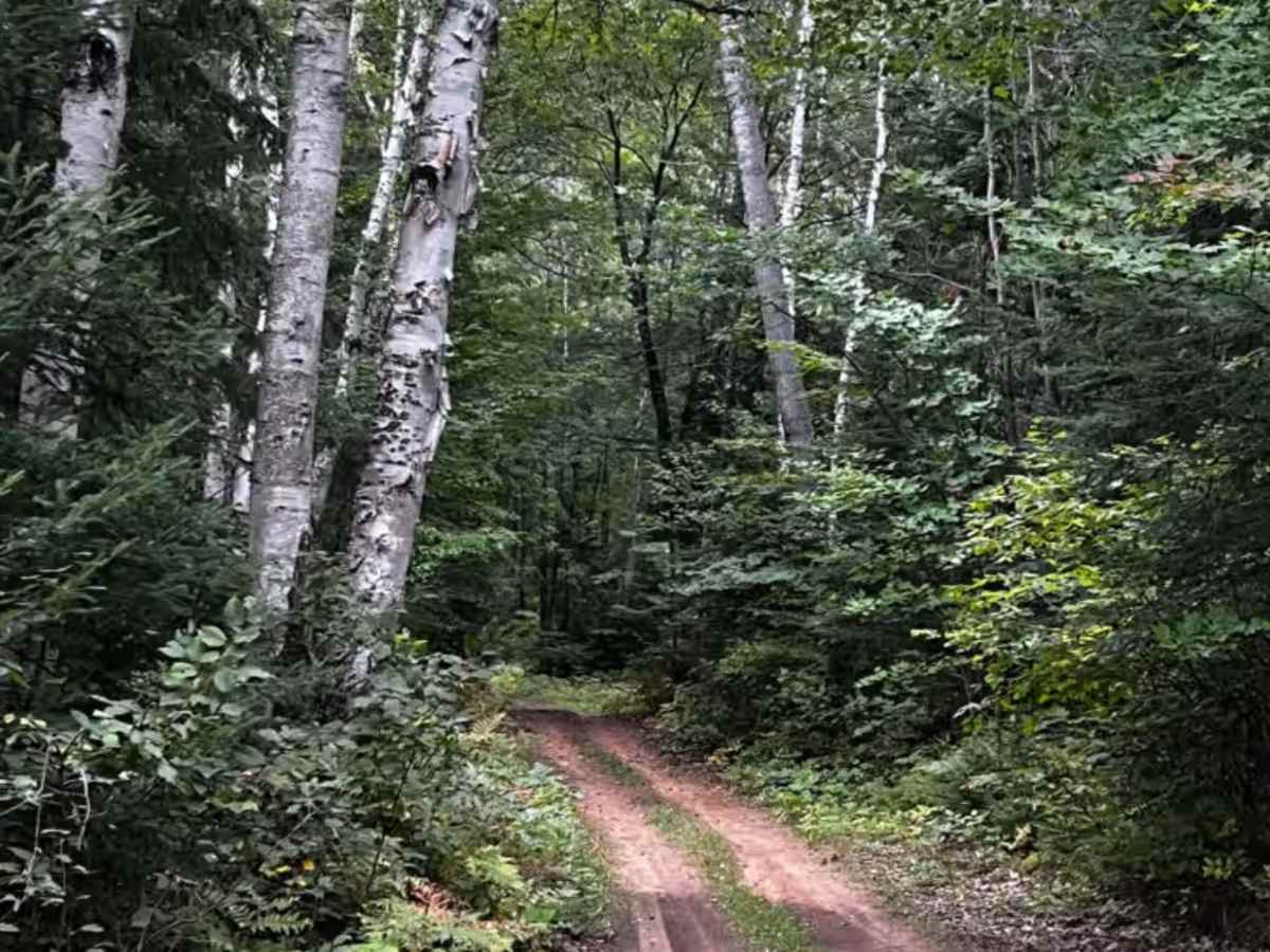 Crooked Slide photo 4