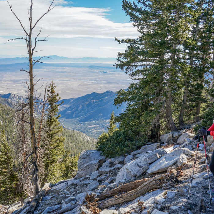 Near Ibapah Peak Near Ibapah Peak