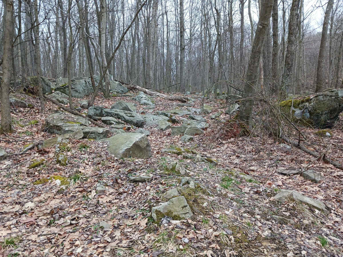 OHV 52 - Rock Run Recreation Area trail photo