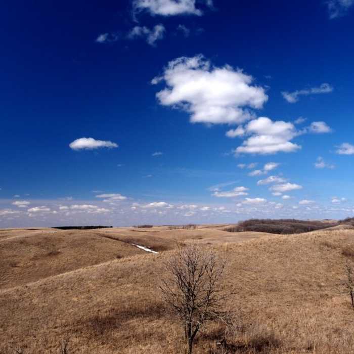 Near High Peaks Trail
