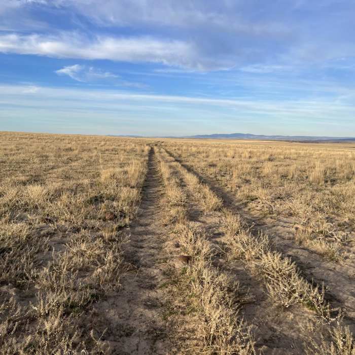Near Pole Creek Road to Little West Owyhee Near Pole Creek Road to Little West Owyhee
