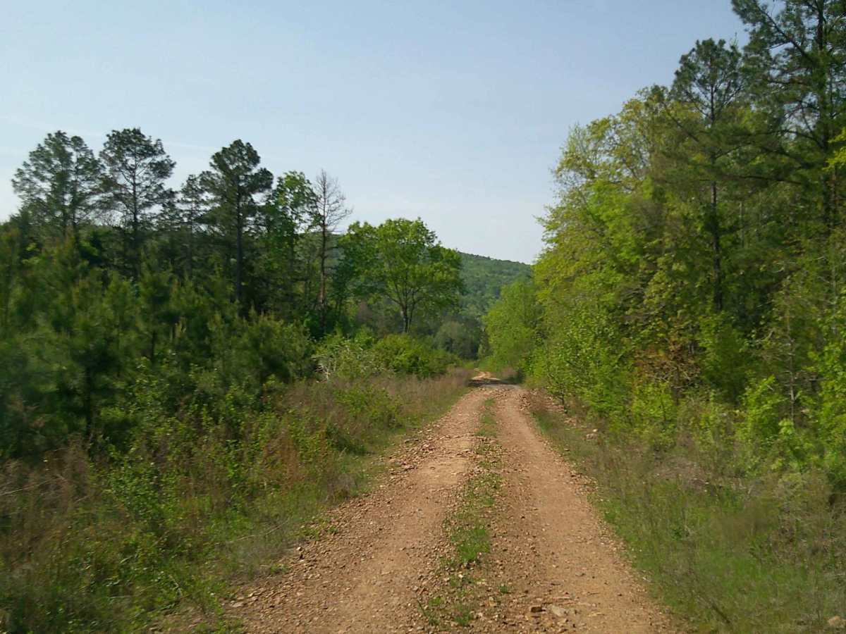 Bear Creek photo 2
