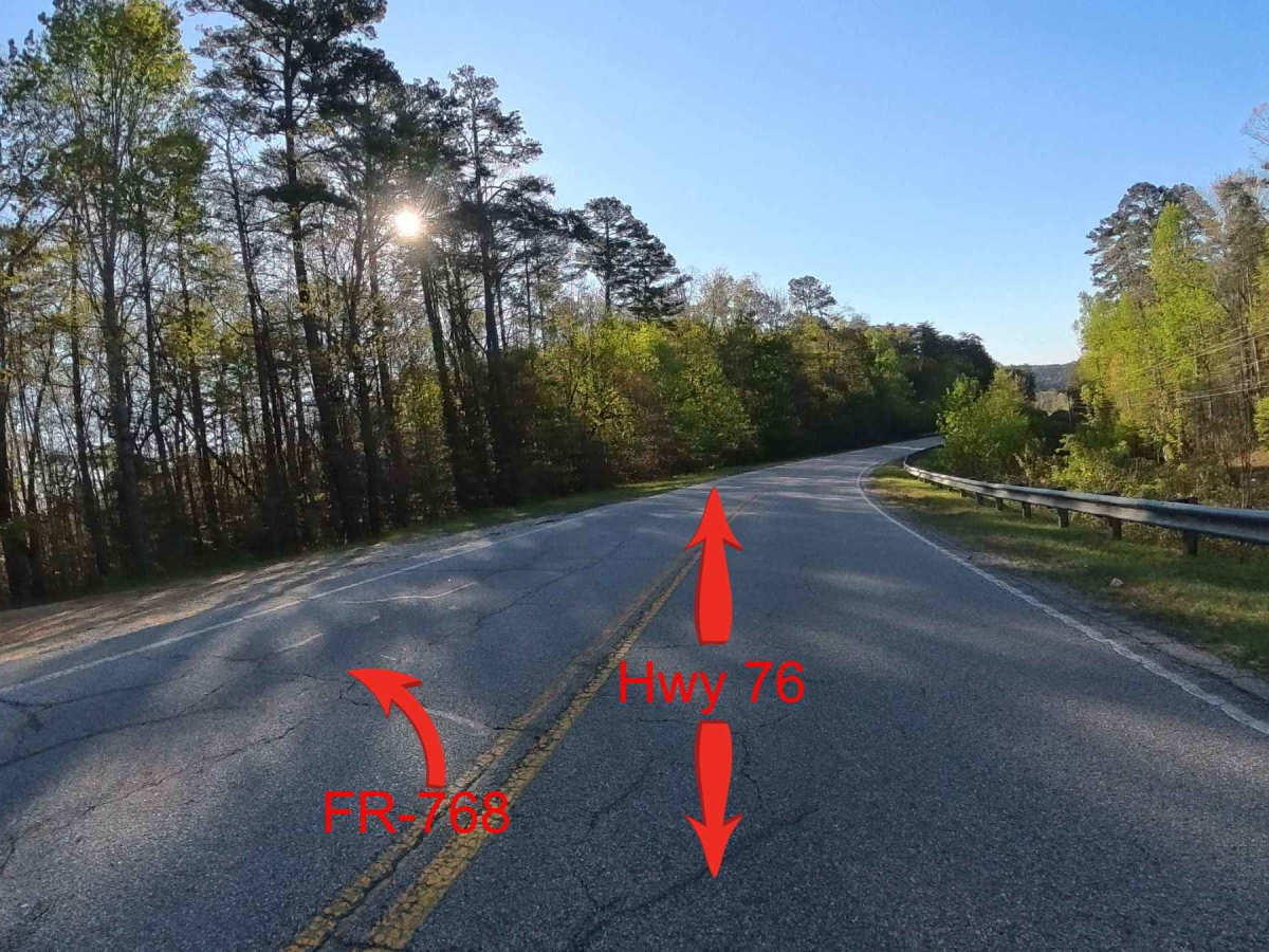 Forest Route 768 trail photo