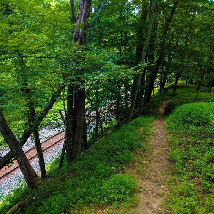 View of the Wood Marr trail as it follows the ridge above the railroad and the Patapsco River. Near Mckeldin River Crossing South