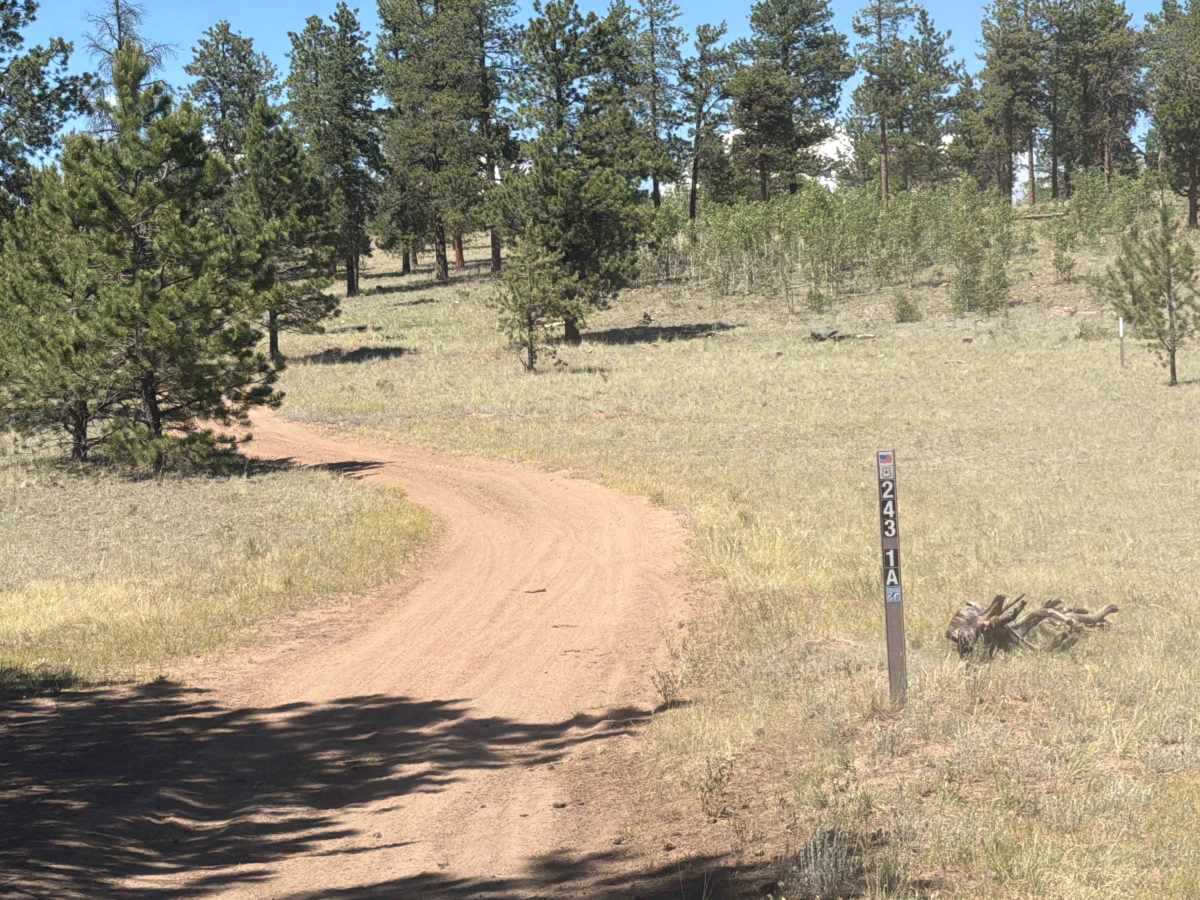Goose Chase Loop Road - FS 243.1A trail photo