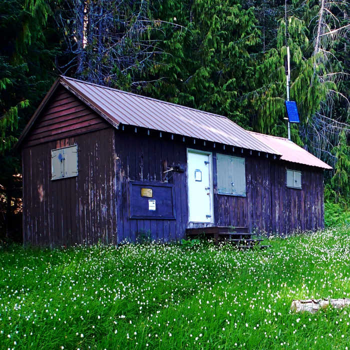 Near Elwha River Trail