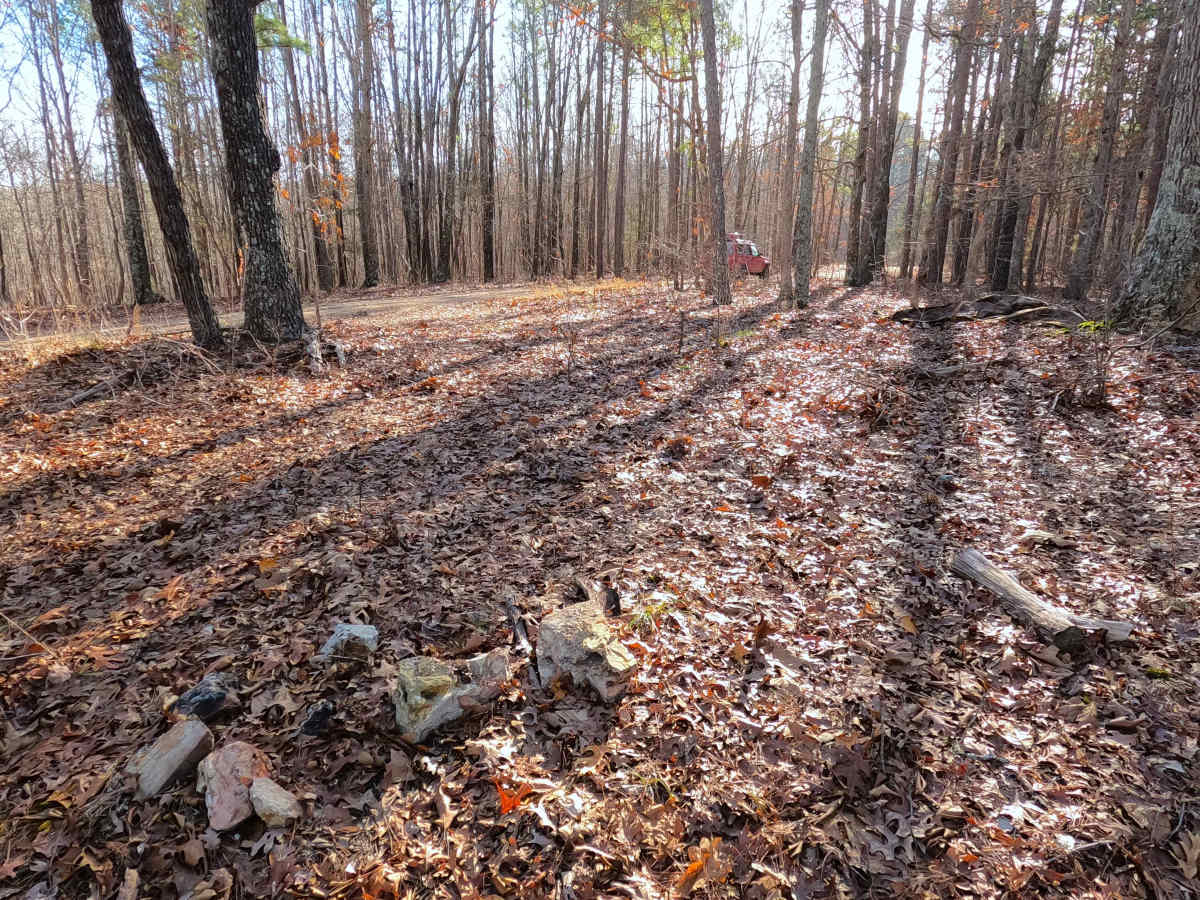 Duffy's Hollow - FS 419 photo 6