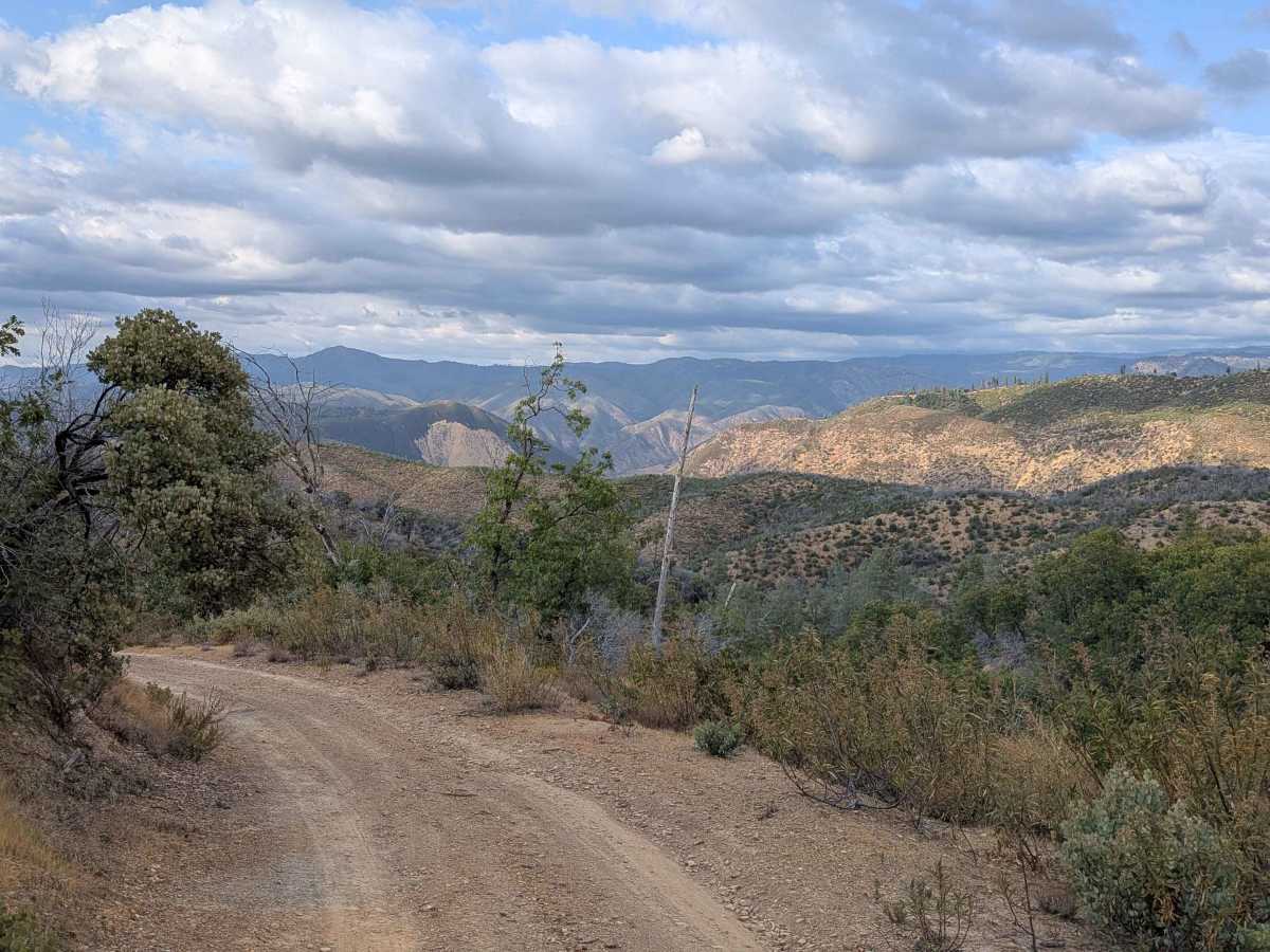 Ponderosa Way photo 5