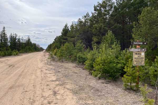 Sandilands Forestry Road 18