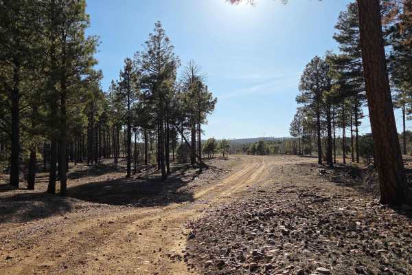 Old Verde Road