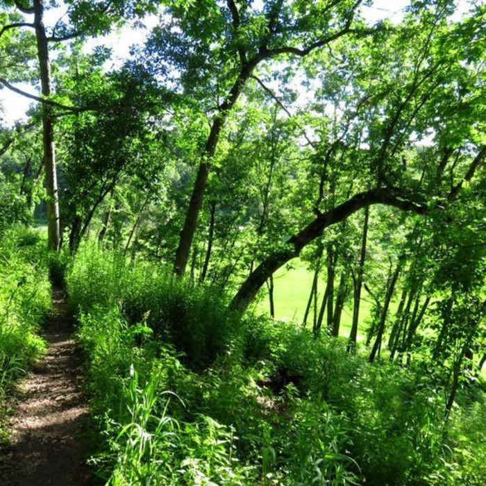 Near Ice Age Trail: Table Bluff Segment