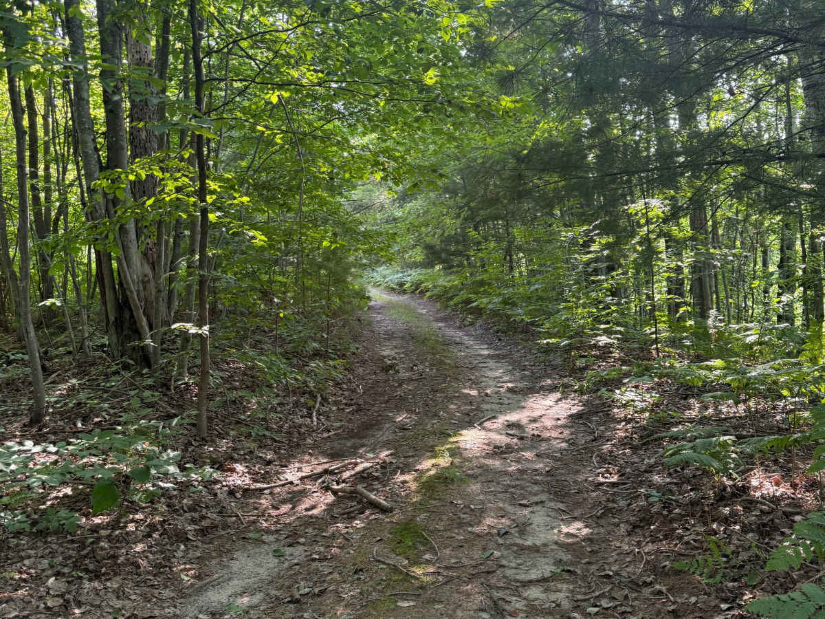 West Bear Creek Trail photo 5