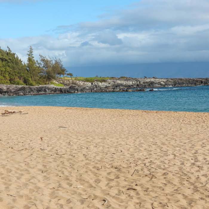 Near Kapalua Coastal Trail Near Kapalua Coastal Trail