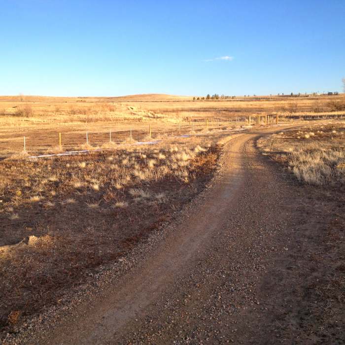 Near Mayhoffer Singletree