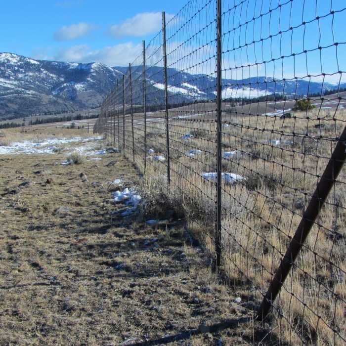 Near Blacktail Deer Creek Trail