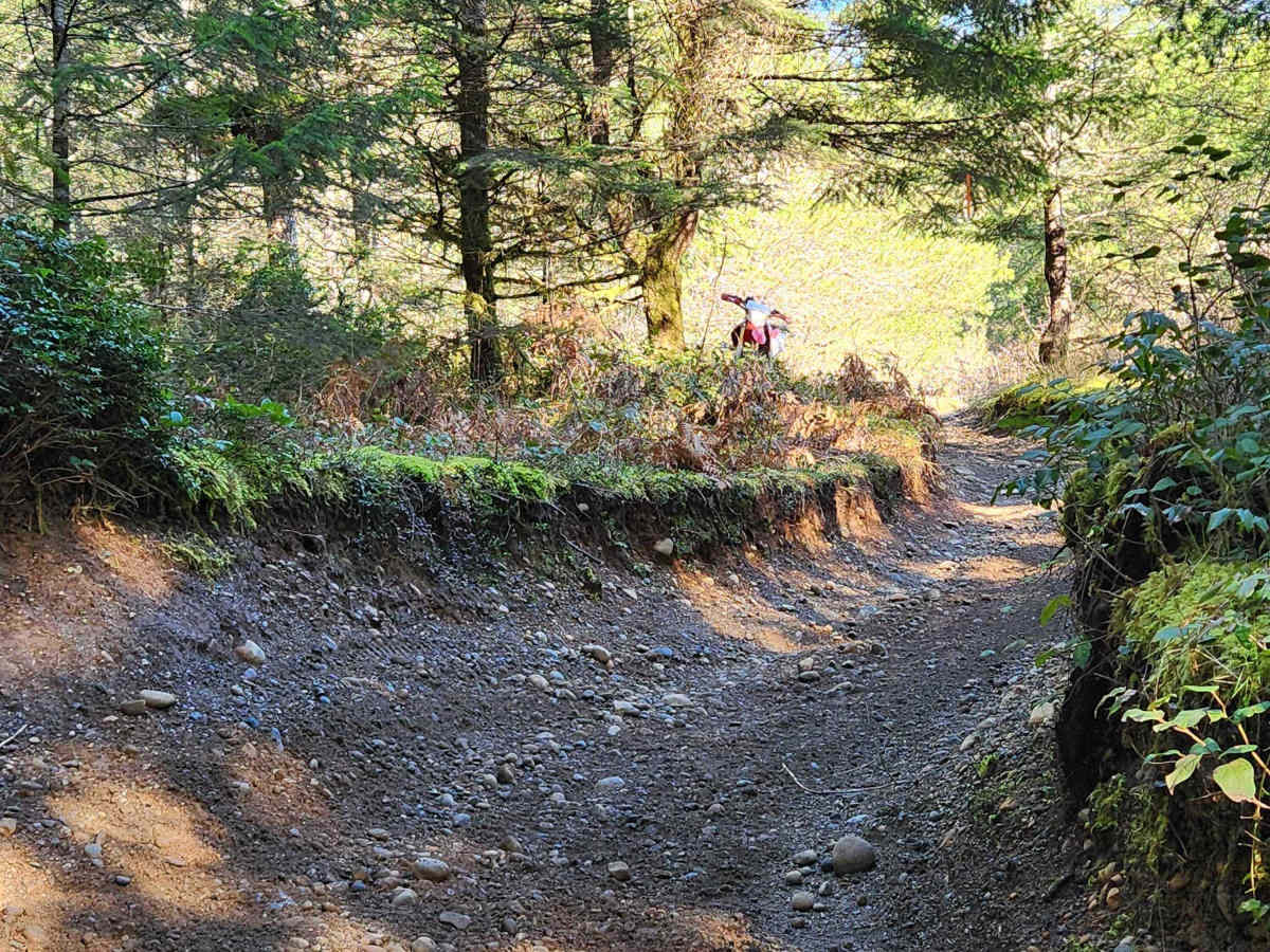 Loop Trail photo 2