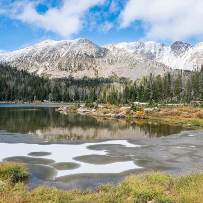 Near Leggat Mountain