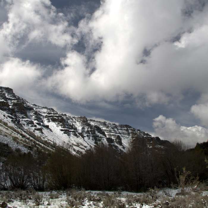 Near Little Blitzen Gorge Trail