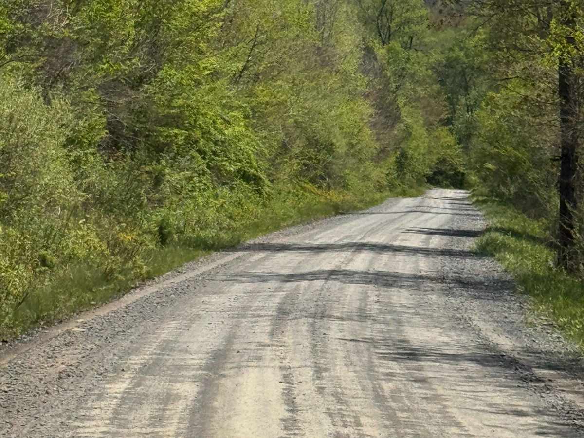 Dents Run Road photo 6