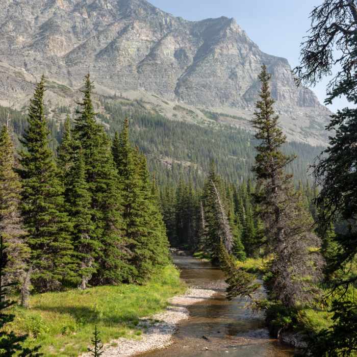 Near Pitamakan Pass Trail