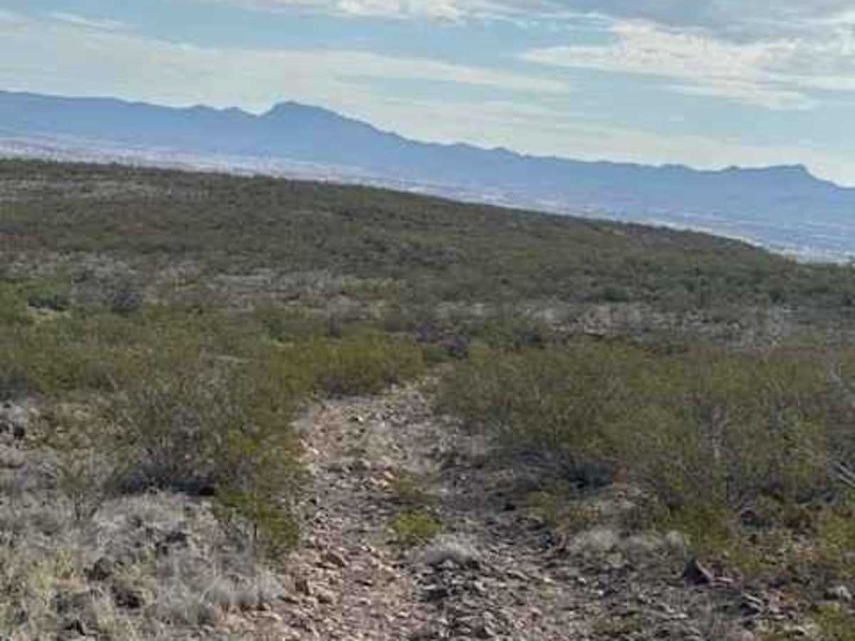 BLM SS1040 photo 3