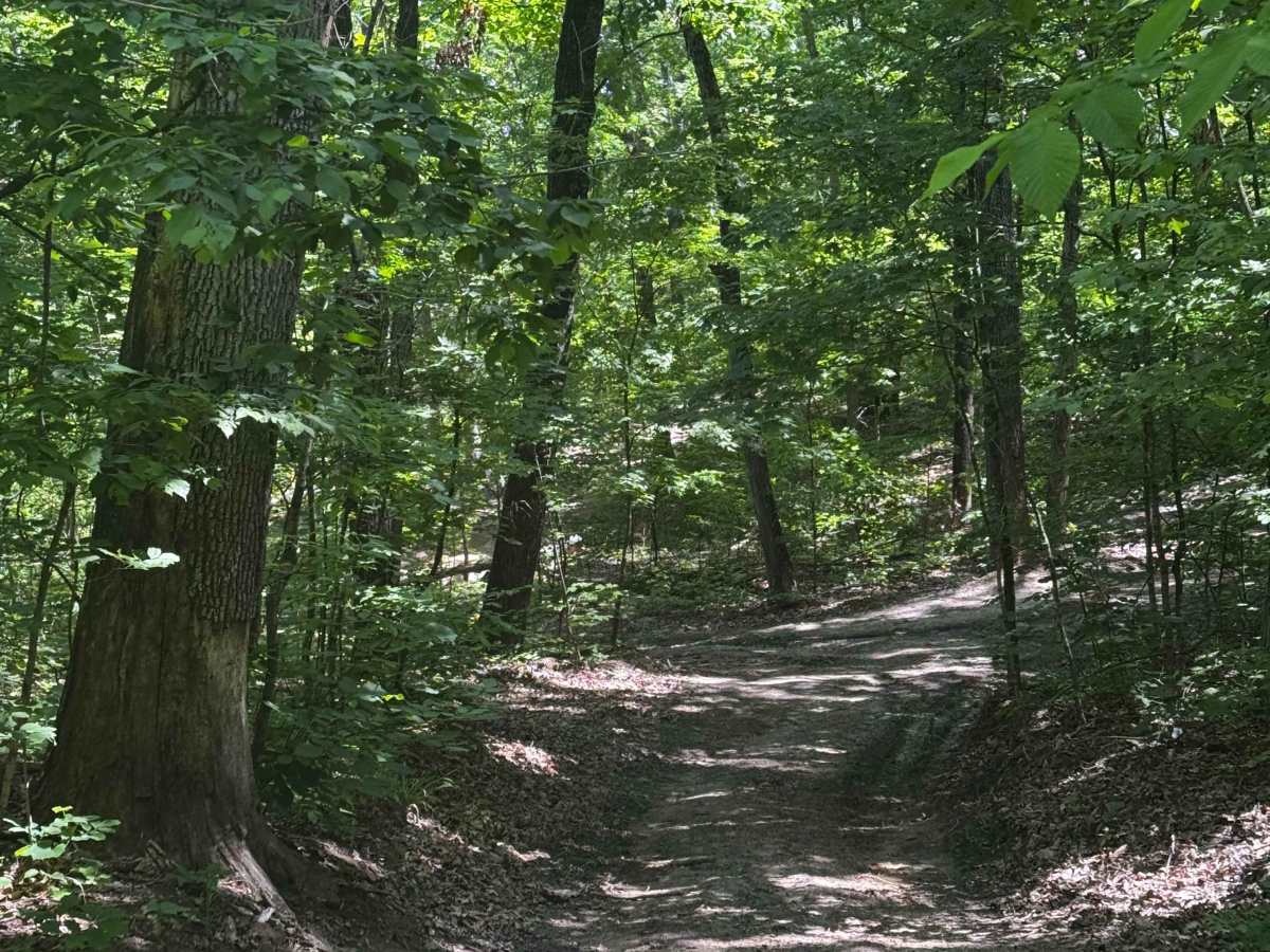 Inner Track 31 photo 3