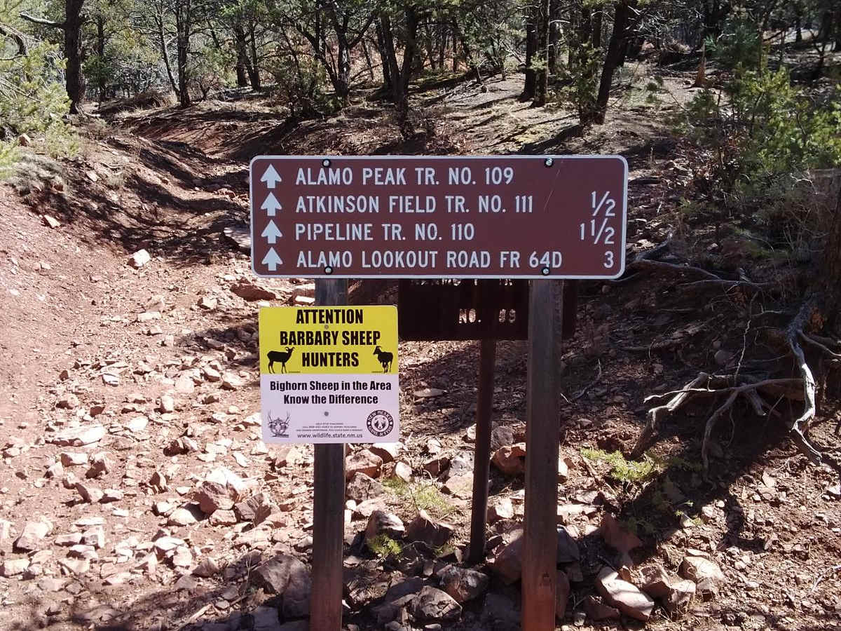 Westside Road trail photo