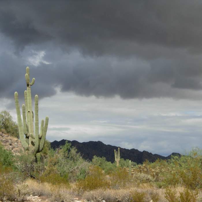 Near Black Rock/Waterfall Trail Loop