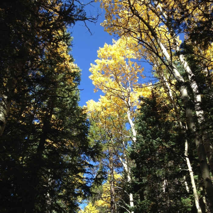 Near Middle St. Vrain Road