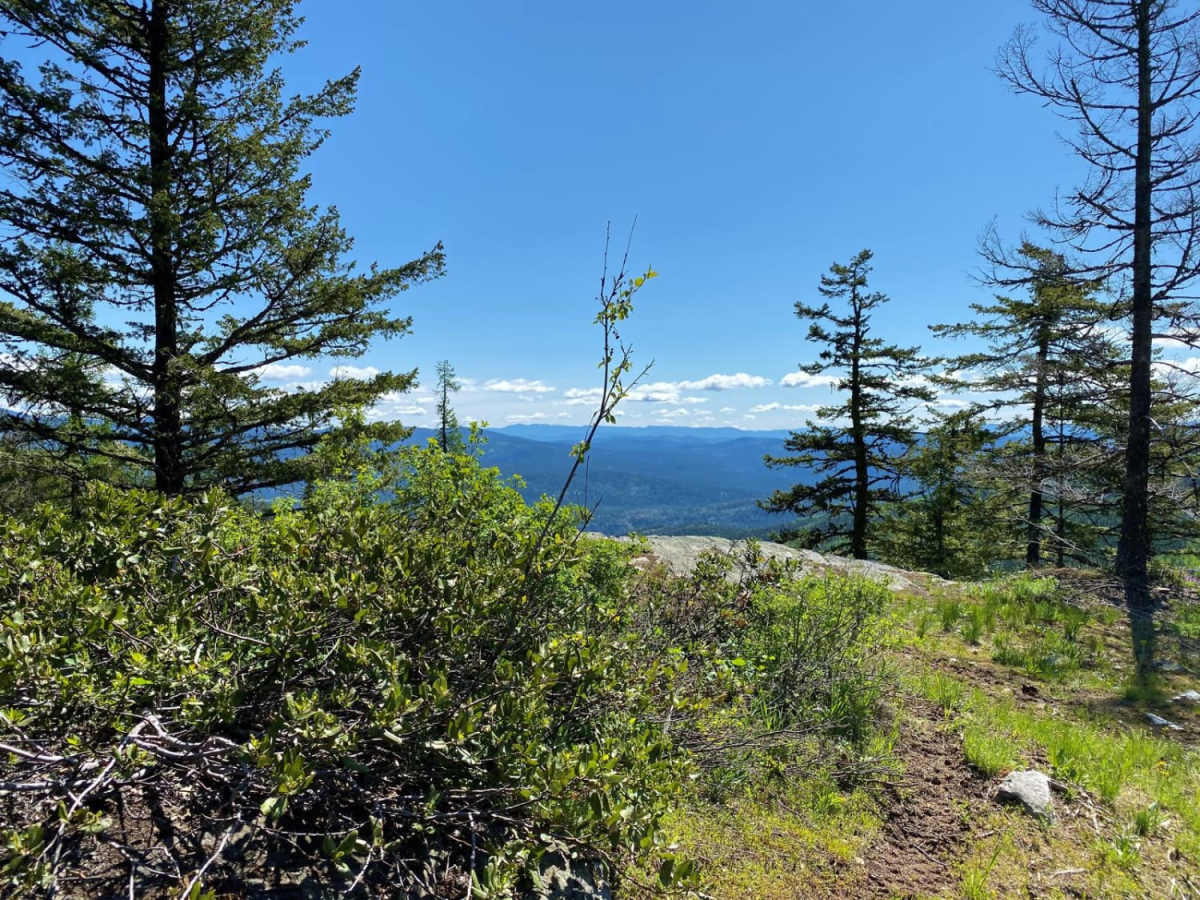 Kerry Creek to Owl Mountain Trail photo 6