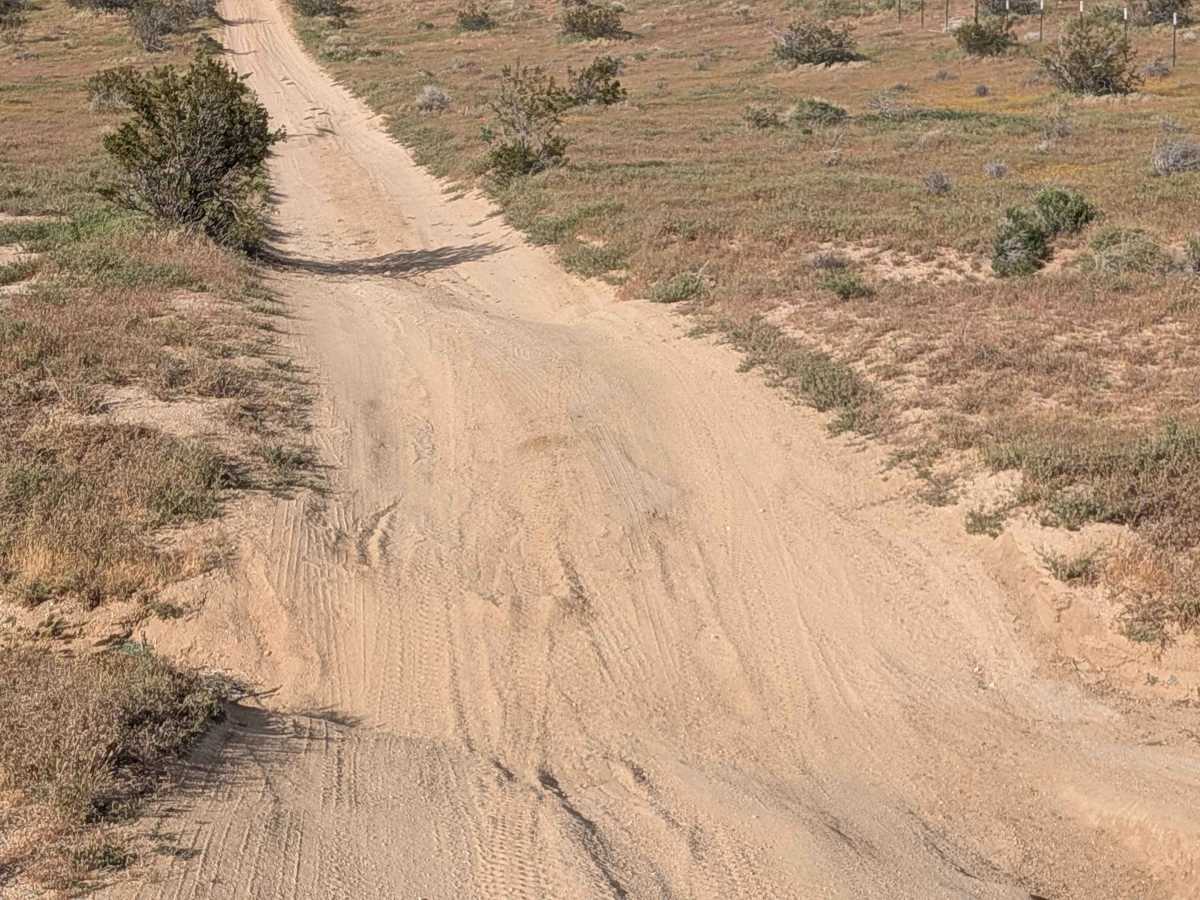BLM SC5 Dove Springs OHV North photo 2