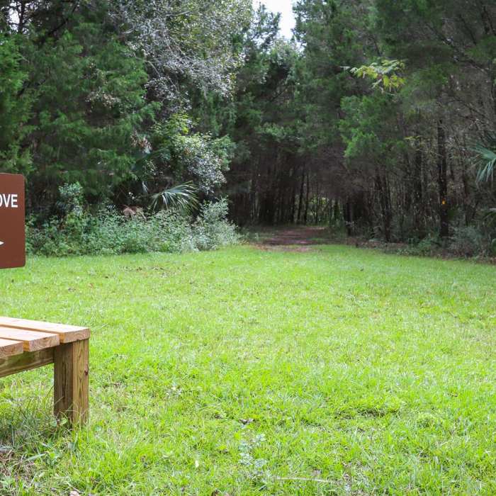 Near Crystal Cove Trail