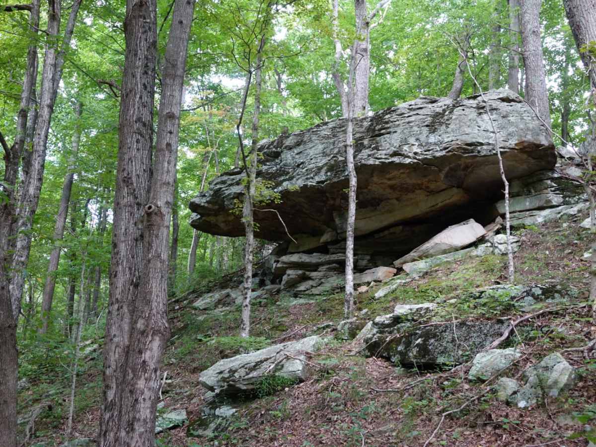 Wolf Knob photo 4