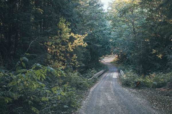 Catt Creek
