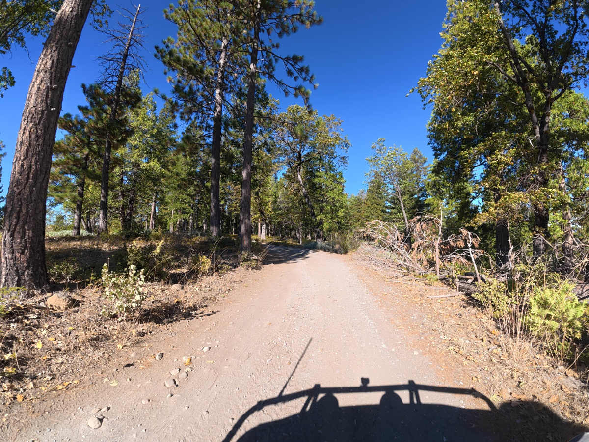 Strawberry OHV 4x4 photo 3