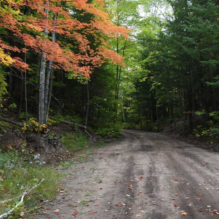 Near Morgan Falls Hike Near Morgan Falls Hike