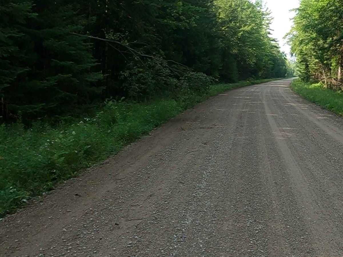 Mormon Creek Road - FSR 2231 photo 2